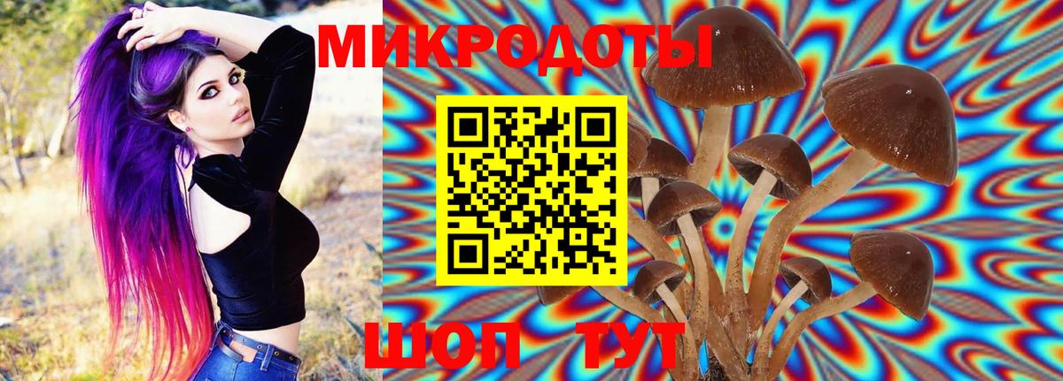 хочу   Вход с VPN  Псилоцибиновые грибы Psilocybe  Учалы  Галлюциногенные грибы Psilocybine cubensis 